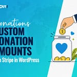 How to Accept Custom Donation Amounts in WordPress with Stripe