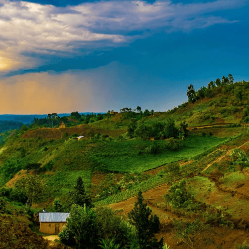 Rwanda Economic Growth